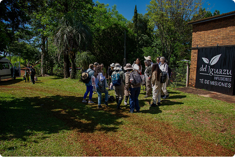Del Iguazú Infusiones